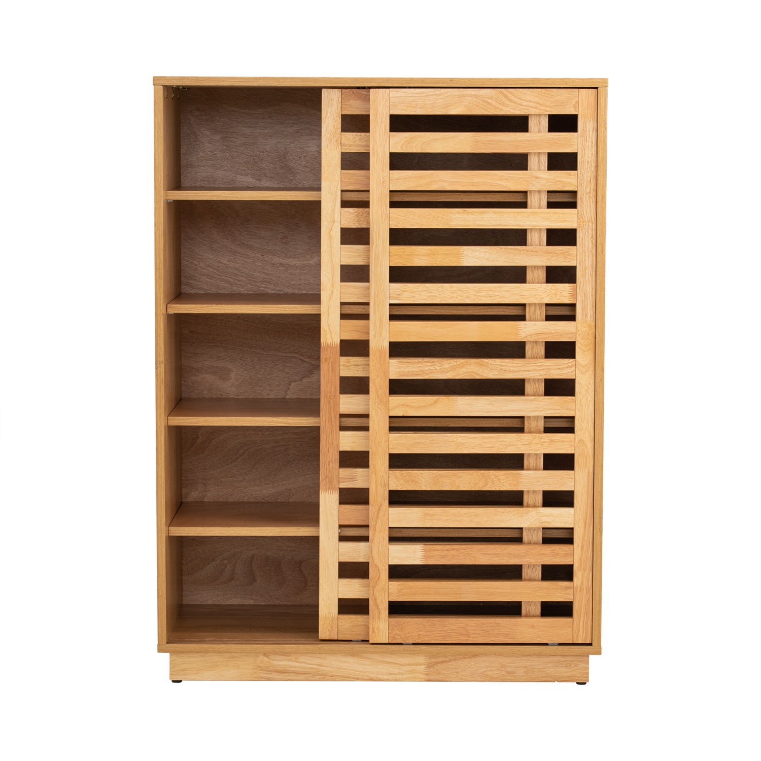 Kyoto 2 Door Shoe Cabinet